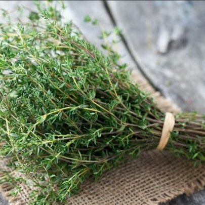 Thyme