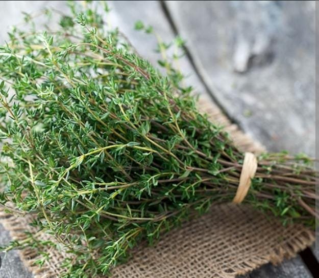 Thyme