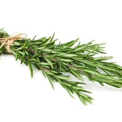 Rosemary