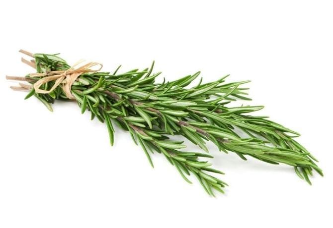 Rosemary