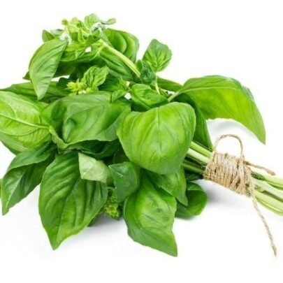 Basil