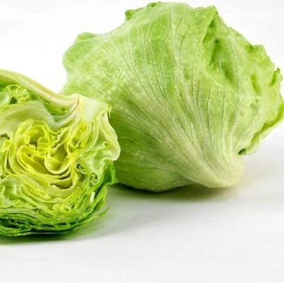 Iceberg Lettuce