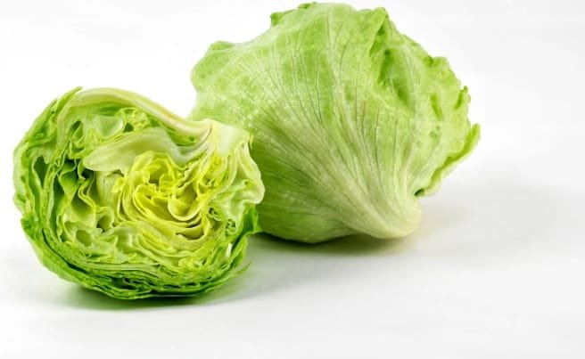 Iceberg Lettuce