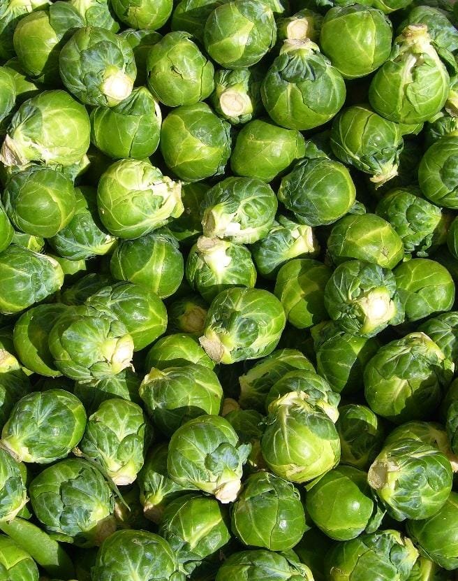 Brussel Sprout