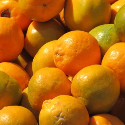 Orange(ஆரஞ்சு)
