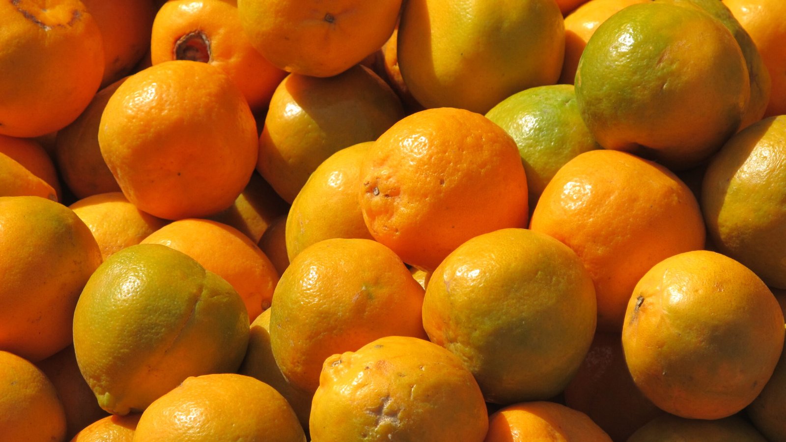 Orange(ஆரஞ்சு)