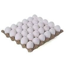 Egg (கோழி முட்டை)