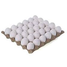 Egg (கோழி முட்டை)